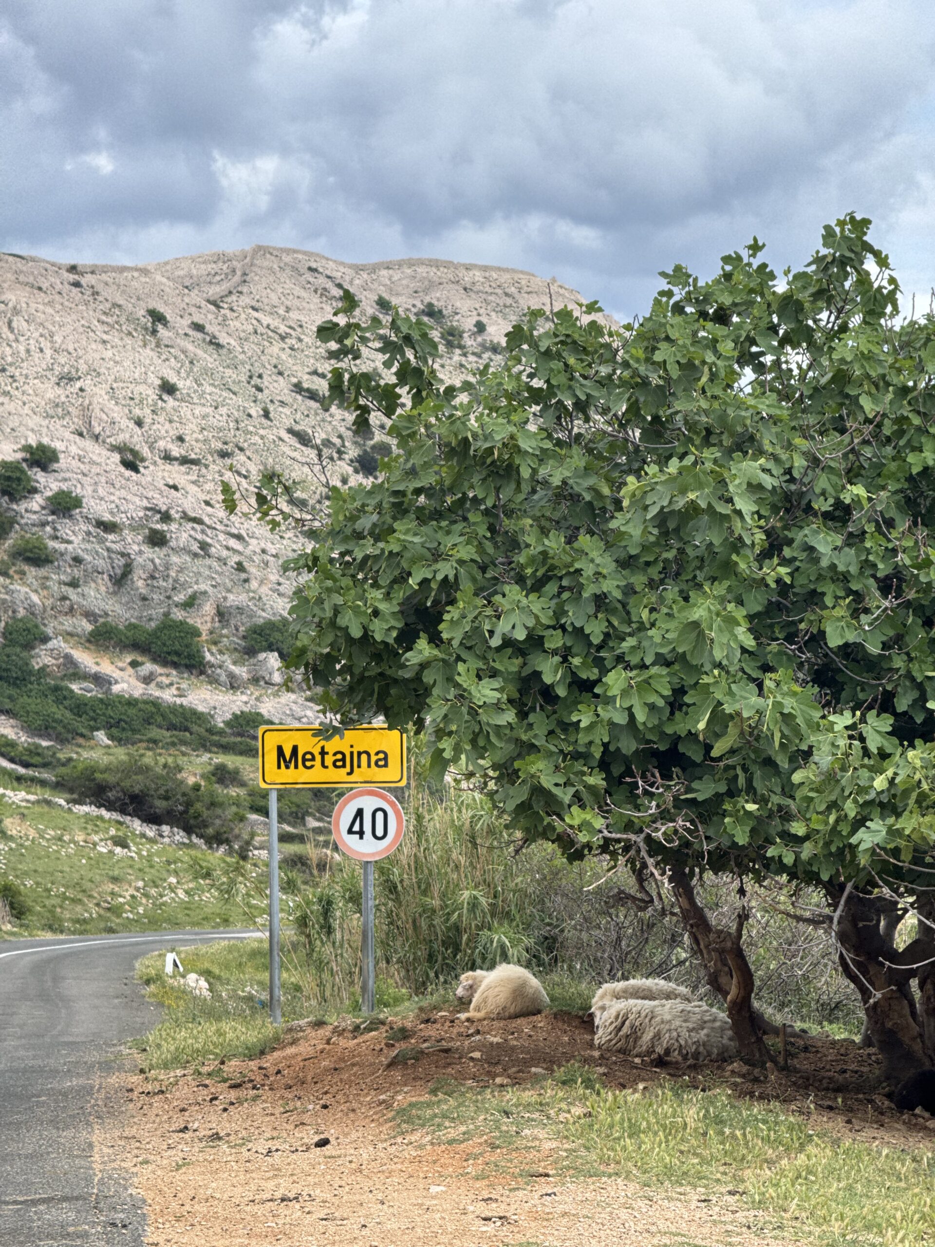 Wyspa Pag atrakcje, co zobaczyć