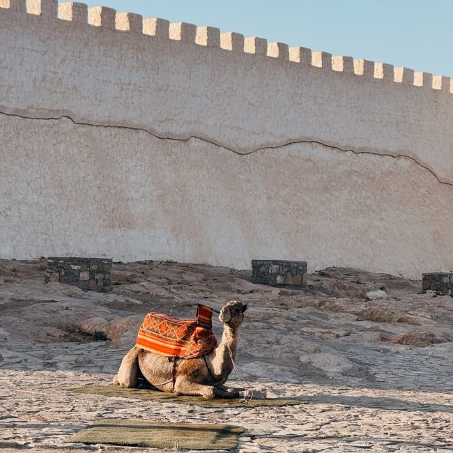 Agadir i&nbsp;okolice – co&nbsp;warto zobaczyć?